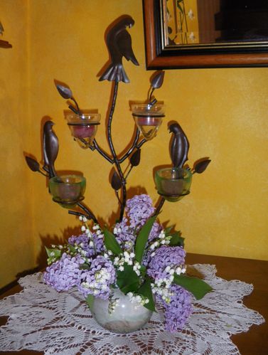IMGP2062 (2)