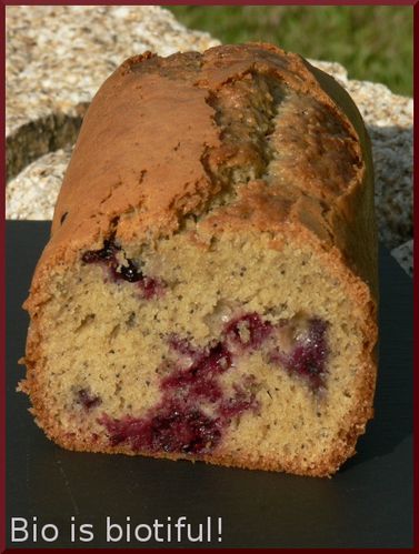 Cake fruits rouges et pavot 1