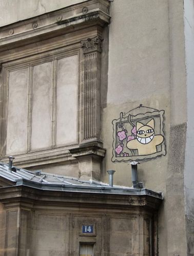 2050-chat-mur.jpg