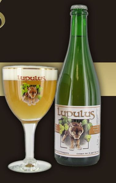 brasserie-3-fourquets-BOUT-lupulus.jpg