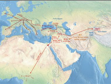 migration-R1b.png