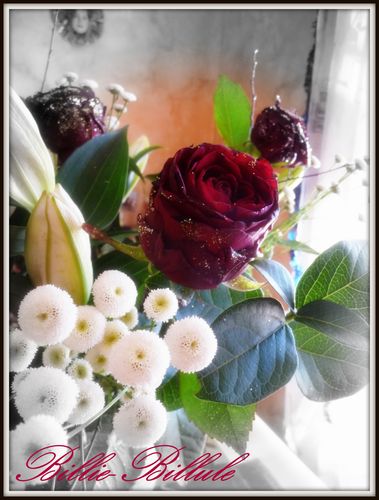 fleurs-Betty-3.jpg