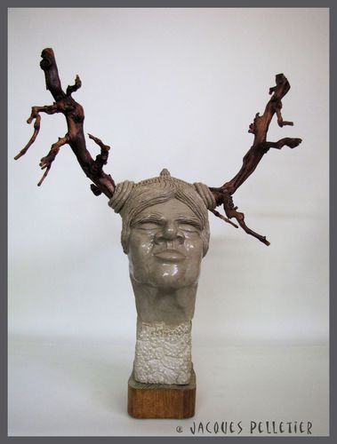 Le shaman de la forêt