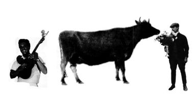 ferdinand.jpg