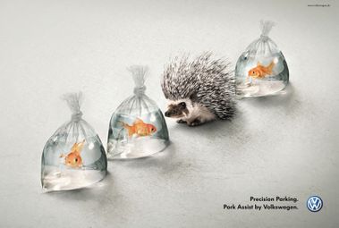 Pub-VW-Park-Assist.jpg