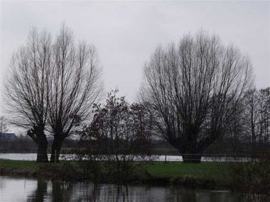 2012_0316lalysflahaut201200.jpg