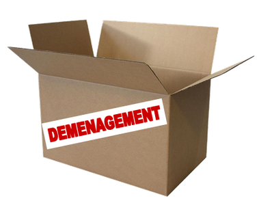 carton blog