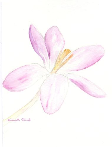 première fleur aquarelle