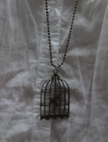 cage-oiseau--800x600-.jpg