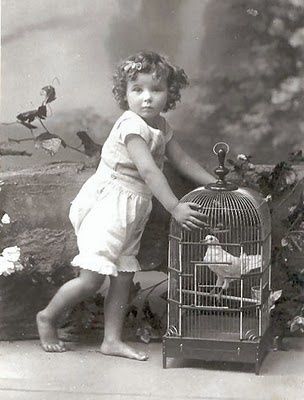 1900sbloomers cage