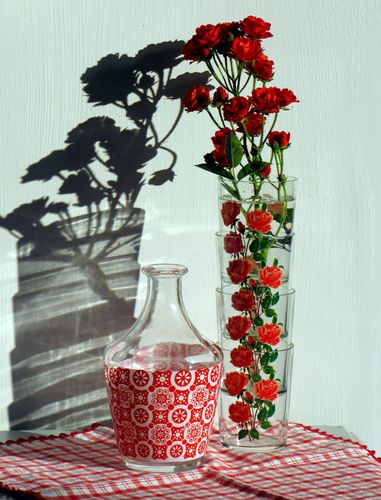deco-2011 4846-1