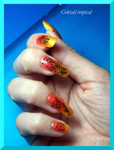 coktail tropical