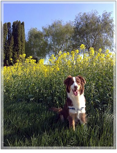 002-copie-3