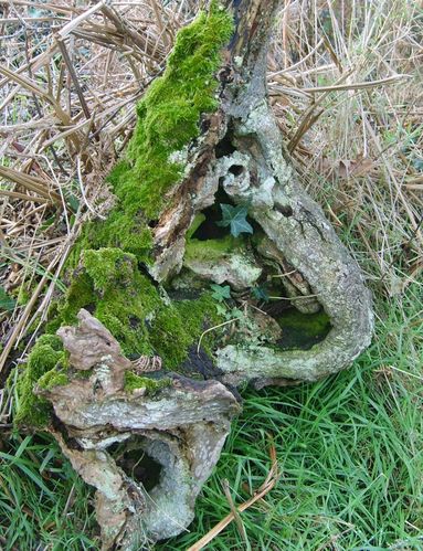 sculpture moderne