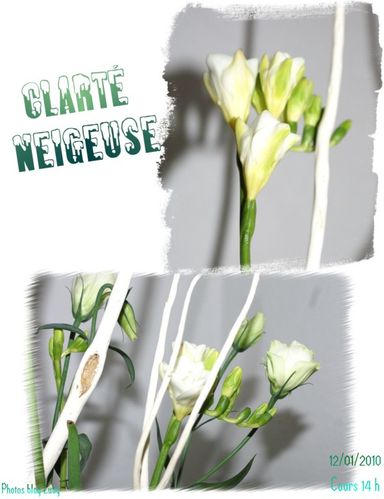 01 12 01 2010 clarté neigeuse 1