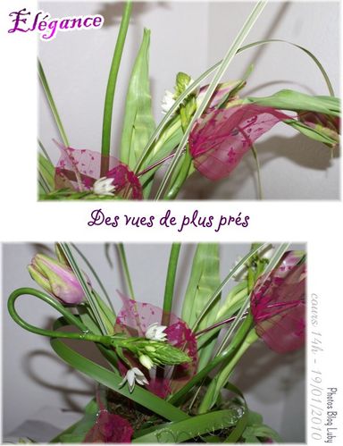 01 19 01 2010 elegance 1