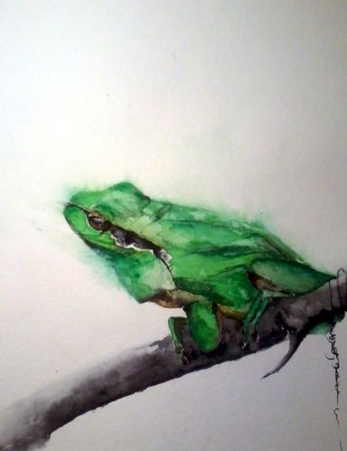 grenouille