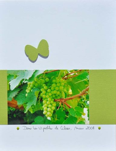 janv 2010 032