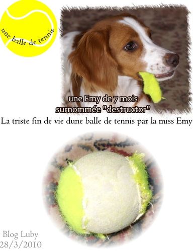 03 fin de vie d'une balle A