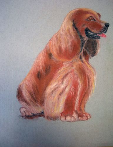 Solange.Petit-chien--mignon.jpg