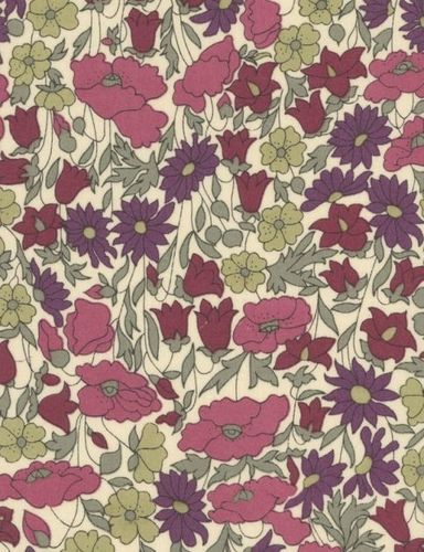 4095 F - Poppy and Daisy 1