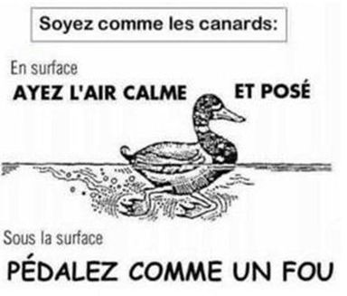 canard-qui-pedale.jpg