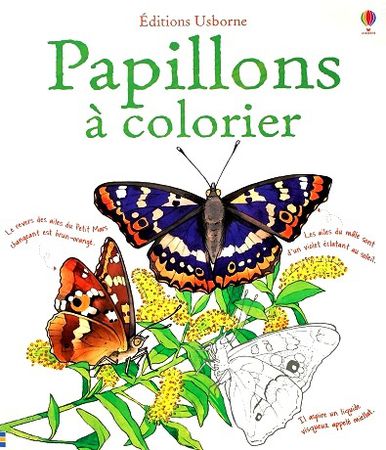 Papillons-a-colorier-1.JPG