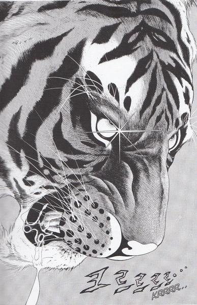 tigre01
