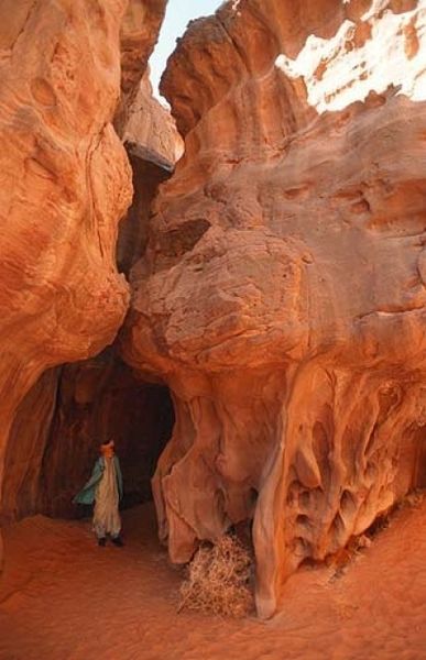 Nature--si-elle-m-etait-contee--.jpg