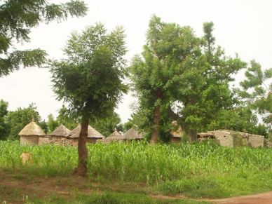 rencontre lesbienne a ouagadougou Je me retrouvais ainsi bloqué dans l'un des quartiers d'ouagadougou de plus je dois vous faire une confidence je suis lesbienne a 80 pour cent et a 30 pour. rencontre lesbienne a ouagadougou Je me retrouvais ainsi bloqué dans l'un des quartiers d'ouagadougou de plus je dois vous faire une confidence je suis lesbienne a 80 pour cent et a 30 pour.
