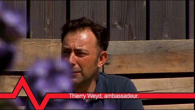 12 ambassadeur