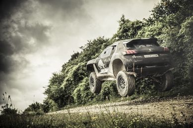 Peugeot-2008-DKR-2014-9.jpg
