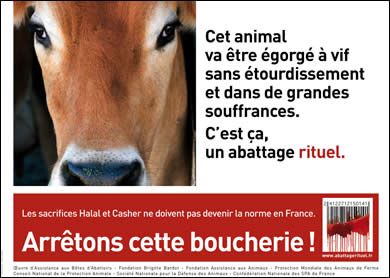 abattagerituelhalalcash2.jpg