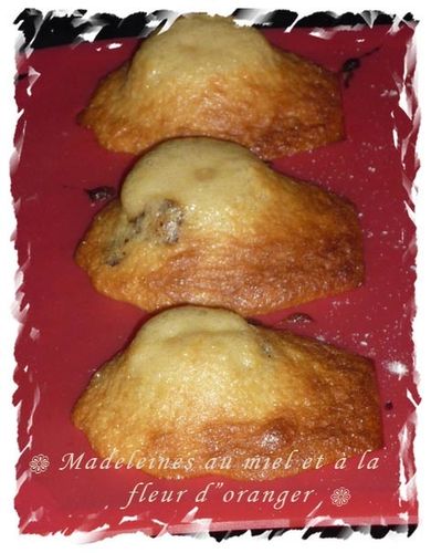 madeleine-au-miel-et-a-la-fleur-doranger.jpg