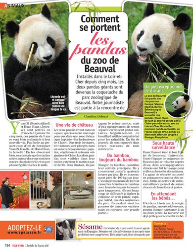 1862_TeleStarPanda.jpg
