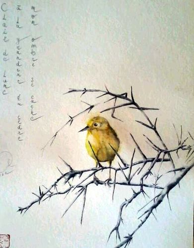 paruline jaune