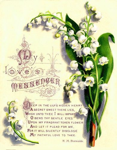 muguet