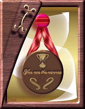 médaille en chocolat medaille-choc-grand.jpg
