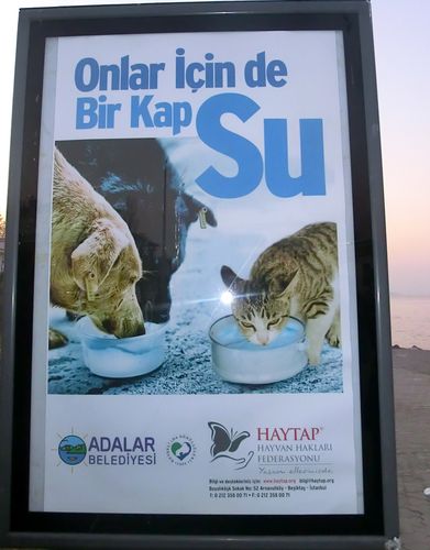 CIMG0461