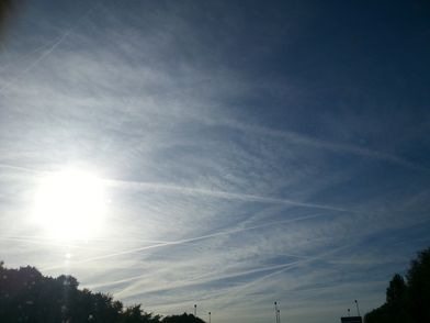 20140926_171518.jpg