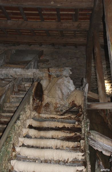 2juillet2011--Gimeaux---sources-petrifiantes---to-copie-7.jpg
