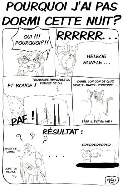 Pourquoi-.-copie-1.jpg