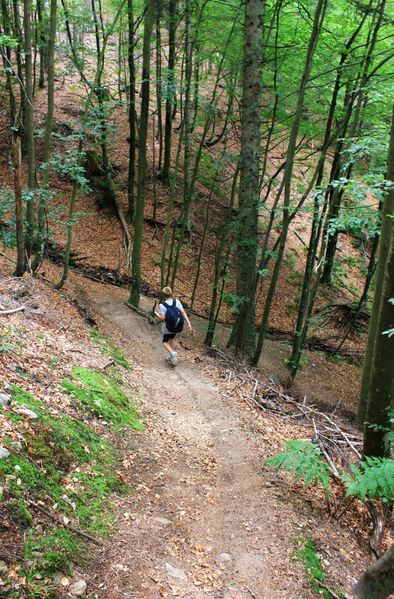 Lac-des-Corbeaux 2185 (FILEminimizer)