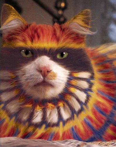 image0161616