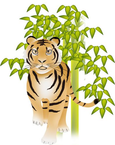 tigre-bambou