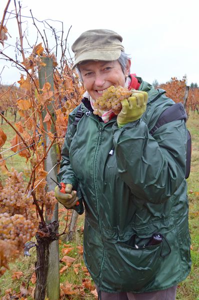  - Vendanges-Lidia-2012-043