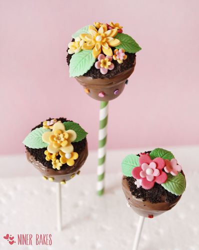 how-to-make-spring-flowerpot-cake-pops-easter-cake-pops-nin.jpg