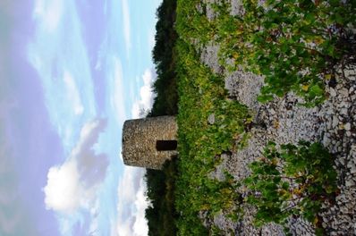 coope-Saint-Jean-de-Minervois-5cmp.jpg