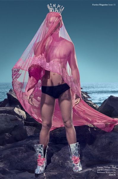 Factice-Homotography-1.jpg