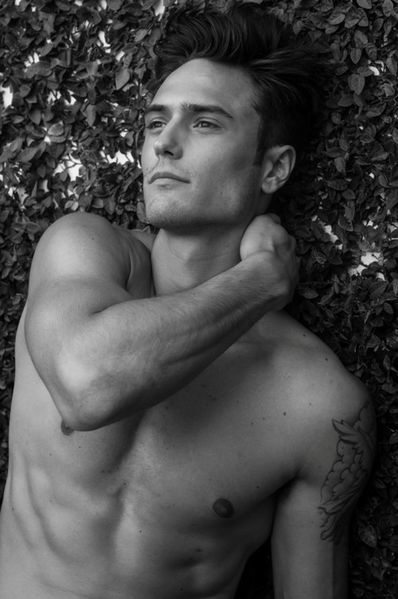 JCSCT-Homotography-04.jpg